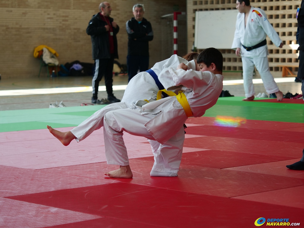 EMOCIÓN Y NERVIOS EN EL I TORNEO NAVARRO DE JUDO ADAPTADO. Pamplona 05-03-23. FOTOS